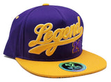 Los Angeles Top Level Legend 24 Tailsweeper Snapback Hat