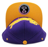 Los Angeles Top Level Legend 24 Tailsweeper Snapback Hat