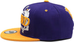 Los Angeles Premium Youth Mamba Legend Snapback Hat