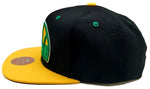 Seattle Supersonics Mitchell & Ness 2 Tone Hardwood Classic Snapback Hat