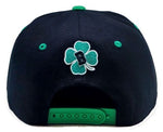 Boston Premium Downtown Snapback Hat