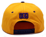 Los Angeles Top Level Legend 24 Drizzle Snapback Hat