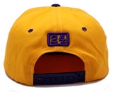 Los Angeles Top Level Legend 24 Drizzle Snapback Hat