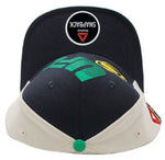 UFC Reebok Walkout Brazil Fighter Snapback Hat