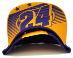 Los Angeles Top Level Legend 24 Snapback Hat