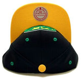 Seattle Supersonics Mitchell & Ness 2 Tone Hardwood Classic Snapback Hat