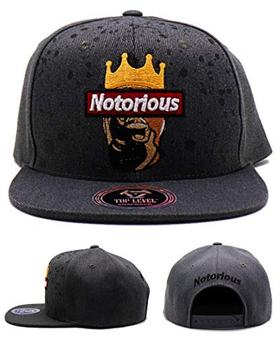 Top Level Crowned Notorious Snapback Hat