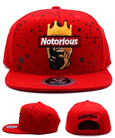 Top Level Crowned Notorious Snapback Hat