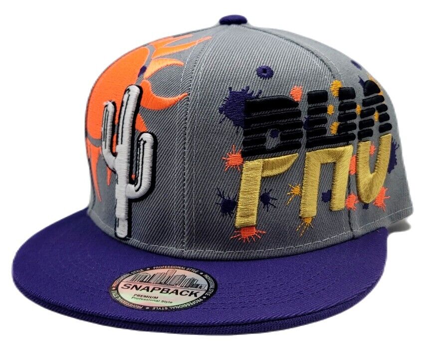 Phoenix Premium Splash Snapback Hat – The Hat Store USA