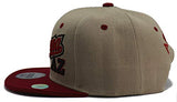 Arizona Headlines Tailsweeper Script Snapback Hat