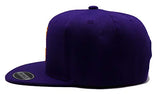 Los Angeles Headlines Custom Palm Snapback Hat