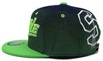 Seattle Leader of the Game Flash Fade Snapback Hat