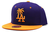 Los Angeles Headlines Custom Palm Snapback Hat