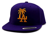 Los Angeles Headlines Custom Palm Snapback Hat