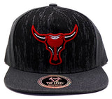 Chicago Top Level Longhorn Snapback Hat