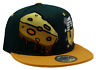 Green Bay Premium Splash Snapback Hat
