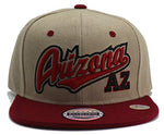 Arizona Headlines Tailsweeper Script Snapback Hat