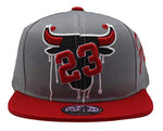 Chicago Greatest 23 MJ Bull Head Drip Snapback Hat
