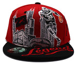 Chicago Greatest 23 MJ Downtown Snapback Hat