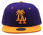 Los Angeles Headlines Custom Palm Snapback Hat