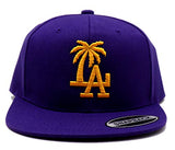 Los Angeles Headlines Custom Palm Snapback Hat