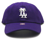 Los Angeles Headlines Palm Strapback Hat