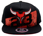 Chicago Top Level Greatest 23 Longhorn Snapback Hat