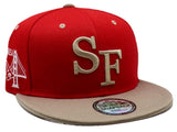San Francisco Premium Skyline Snapback Hat