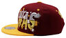 Washington Premium Splash Snapback Hat