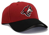 Arizona Coyotes Reebok Two Tone Strapback Hat