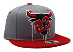 Chicago Greatest 23 MJ Bull Head Drip Snapback Hat