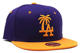 Los Angeles Headlines Custom Palm Snapback Hat