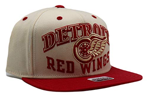 KTZ Detroit Red Wings All Day 9fifty Snapback Cap in Black for Men