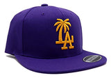 Los Angeles Headlines Custom Palm Snapback Hat