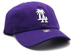 Los Angeles Headlines Palm Strapback Hat