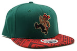 Native Pride Zephyr Pow Wow Warrior Snapback Hat