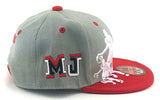 Chicago Greatest 23 MJ Dribbler Snapback Hat