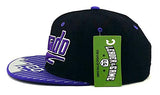 Colorado Leader of the Game Chrome Shine Snapback Hat