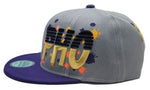 Phoenix Premium Splash Snapback Hat