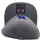 Los Angeles Headlines Palm Snapback Hat