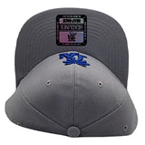 Los Angeles Headlines Palm Snapback Hat
