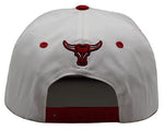 Chicago Top Level Greatest 23 Longhorn Snapback Hat