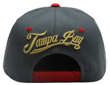 Tampa Bay Premium Splash Snapback Hat