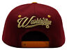 Washington Premium Splash Snapback Hat