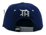 Detroit Leader of the Game Flash Shine Snapback Hat