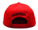 Top Level Crowned Notorious Snapback Hat