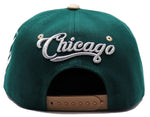 Chicago Premium Master Bull Head Snapback Hat