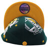 Green Bay Premium Splash Snapback Hat