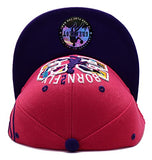 Chicago Greatest 23 Born 2 Fly Snapback Hat