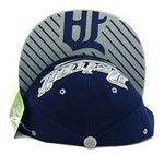 Detroit Leader of the Game Flash Shine Snapback Hat